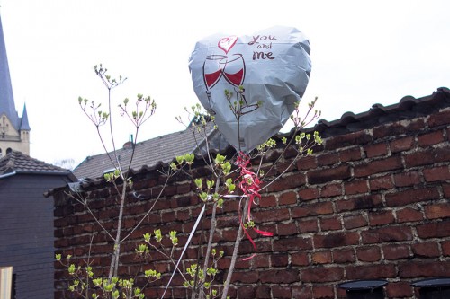 was soll das? – DSC05082