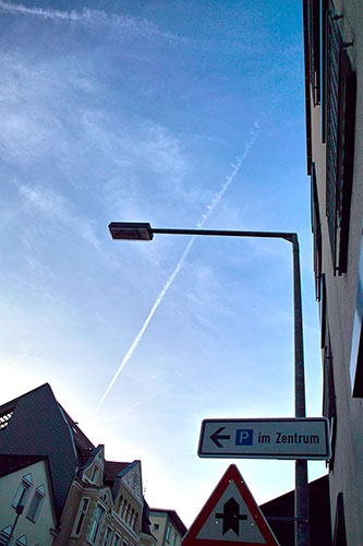 any choice is good choice – SDIM5975_500x333